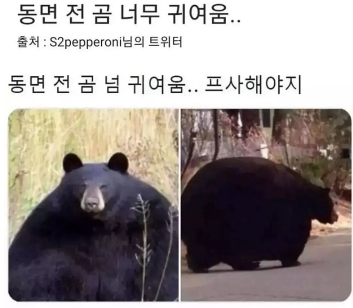 제목_없음.png