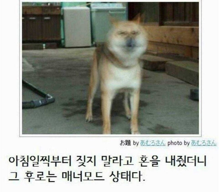 진동모드_댕댕이.jpg