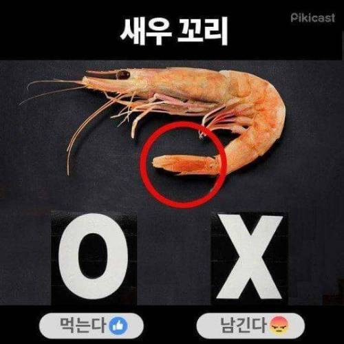 새우꼬리_밸런스_게임.jpg