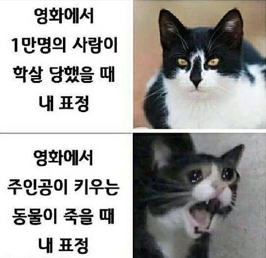 동물.jpg