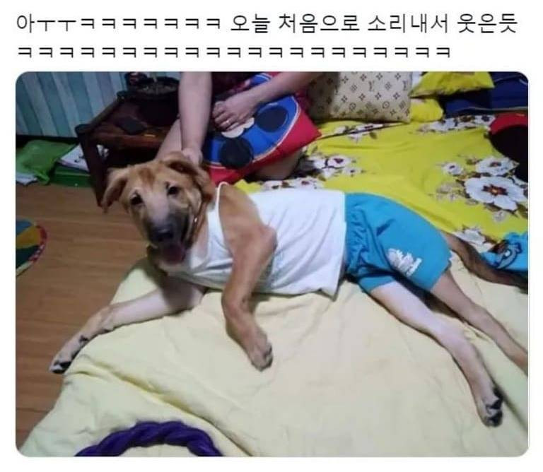 물려_받은_옷.jpg