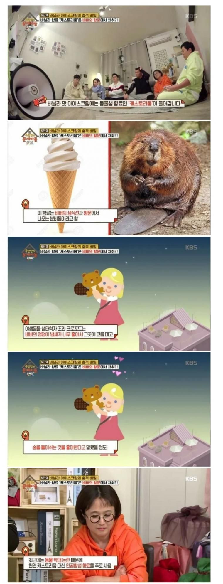 바닐라향의_비밀.jpg