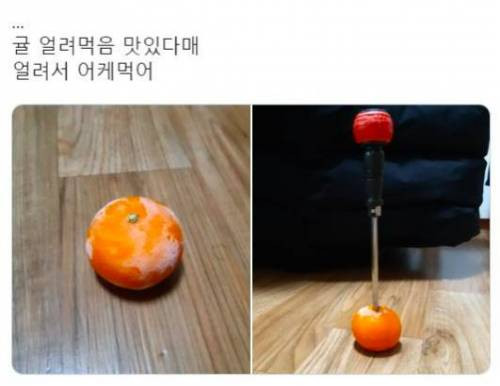 귤_얼려서_먹으라는_사람_나와!!!.jpg