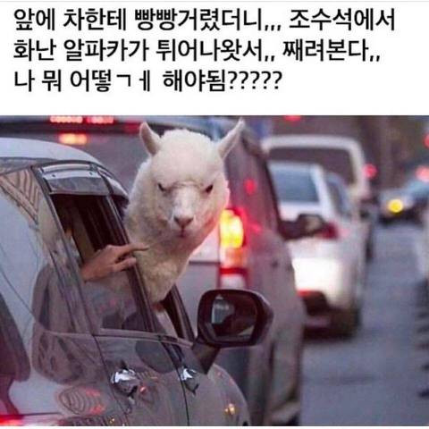 야!!!_침뱉기_전에_그만_빵빵거려!!!.jpg