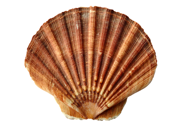 28ea3c20e19b3af26453e565879e4b57.png