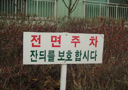 d000ccda529f0b5eac38cc655d29c1ca.jpg
