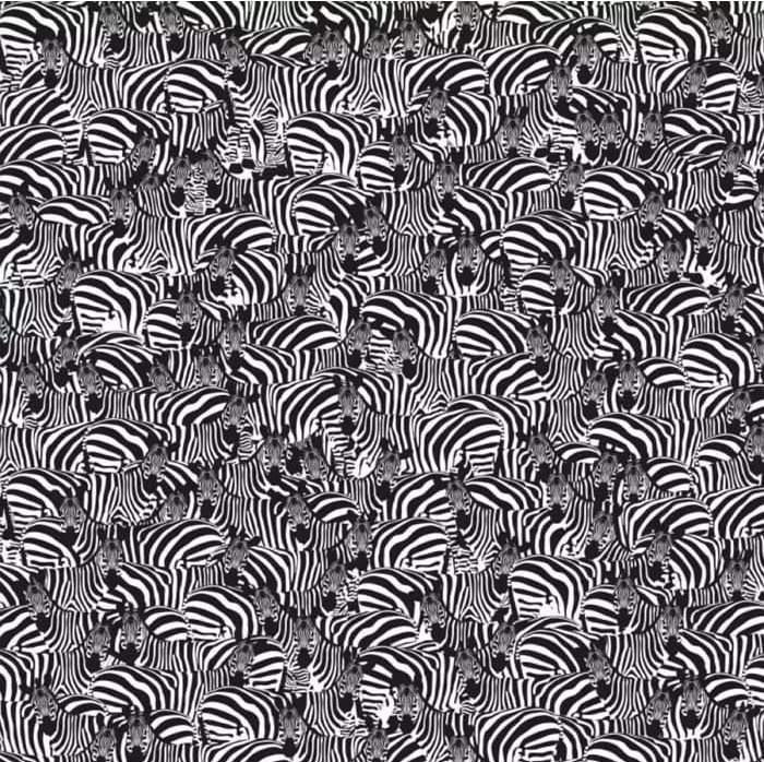 141f5473eb1eb647fa49cbeab14da38d.jpeg