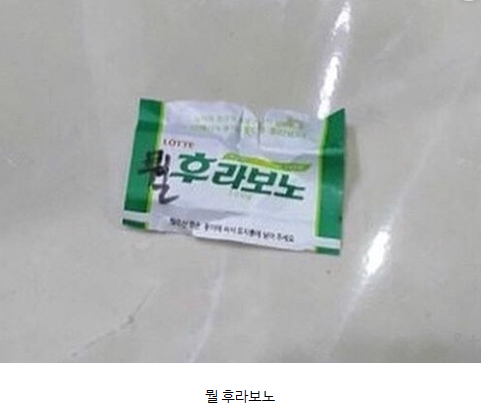 뭘_후라보노.png