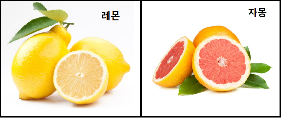 레몬.png