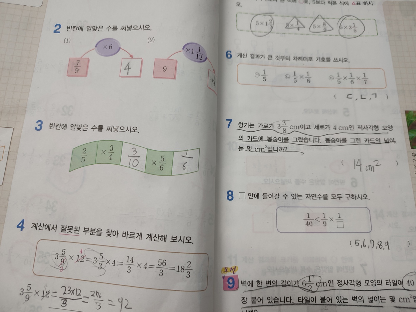 선하.jpg