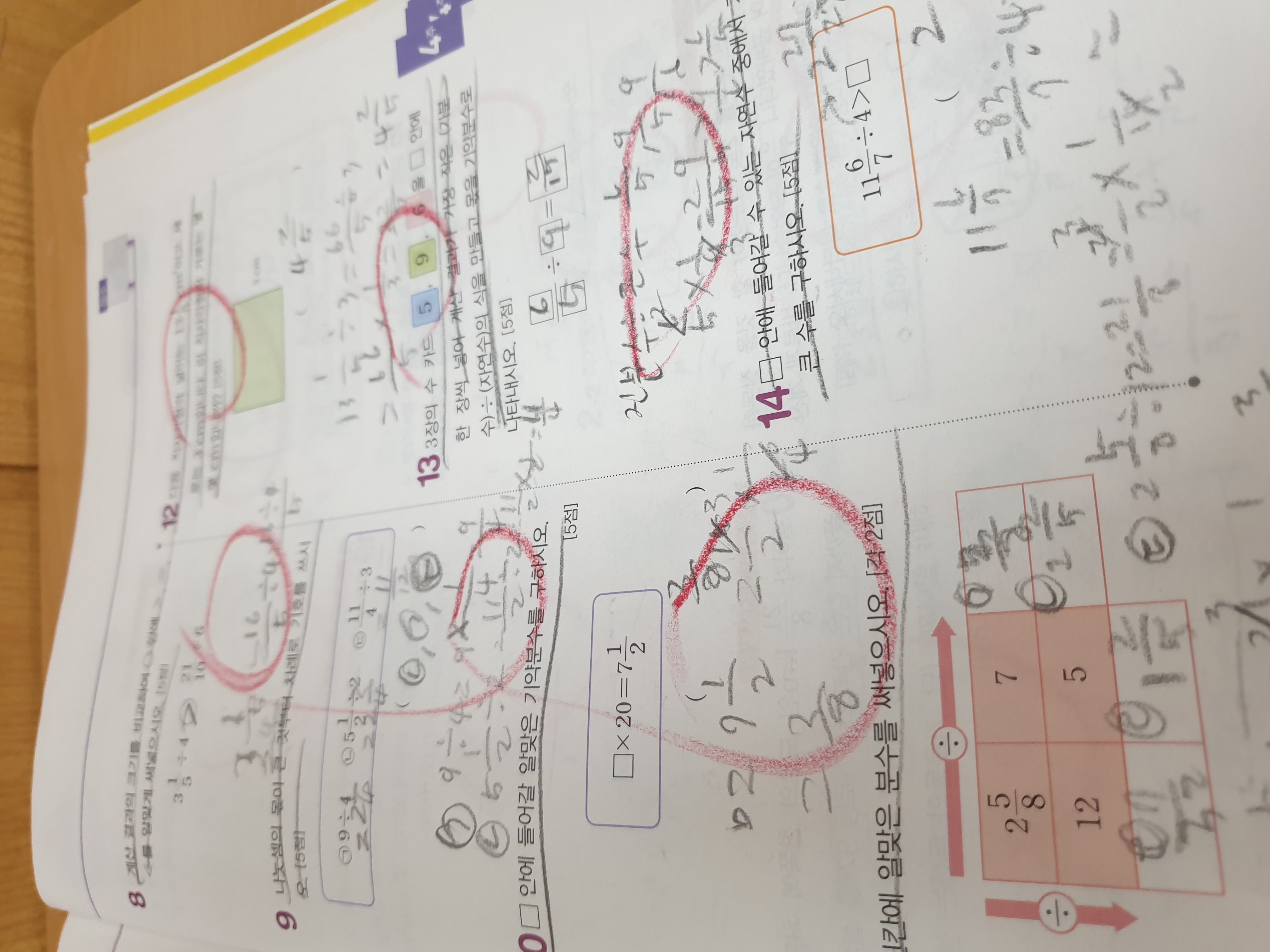 20230317_154131.jpg