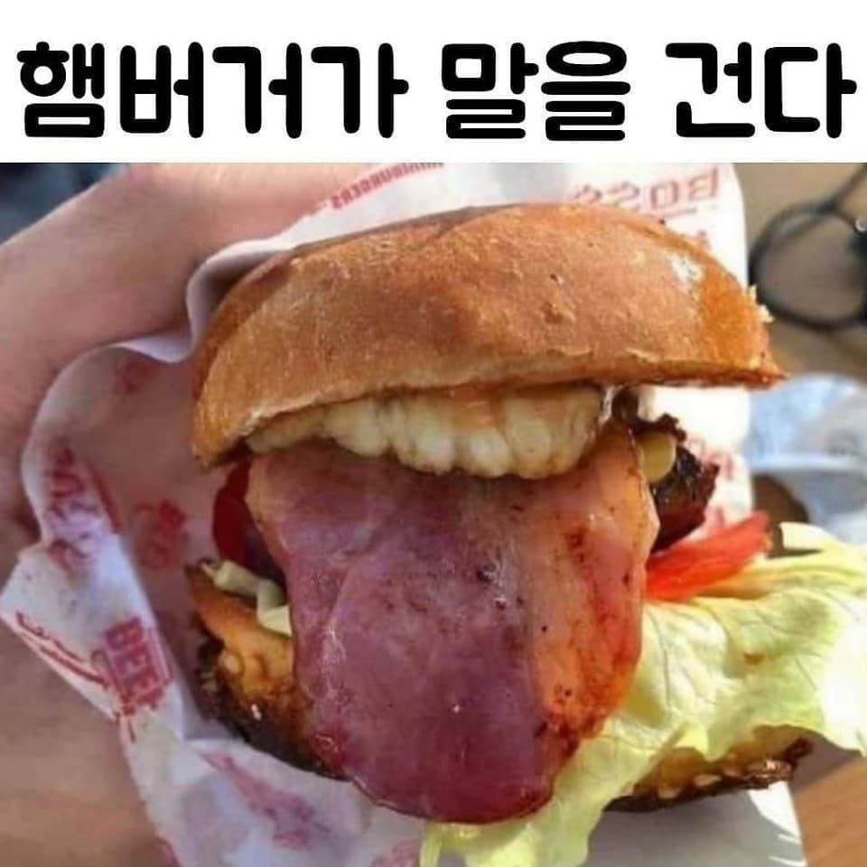 햄버거가_말을_건다.jpg
