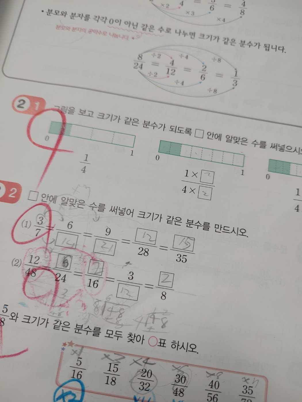 최연하.jpg