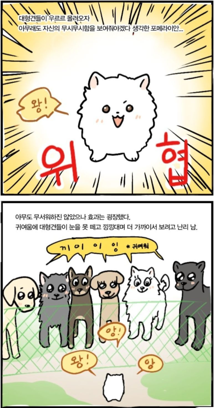 대형견_입장에서_본_포메라니안.png