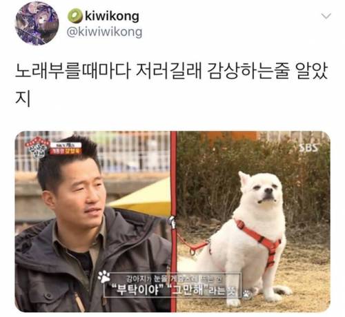 노래_부를_때마다_강아지가_눈을_게슴츠레_떠요!!.jpg