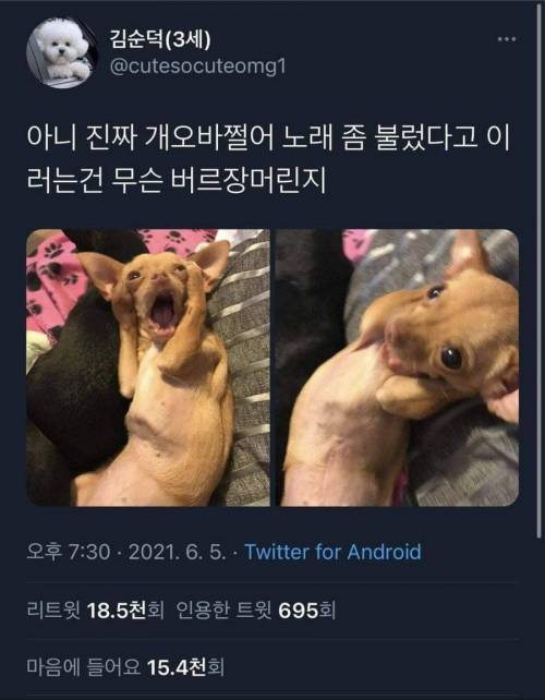 주인님이_노래를_부르고_있는_나_좀_살려줘_ㅠㅠㅠ.jpg