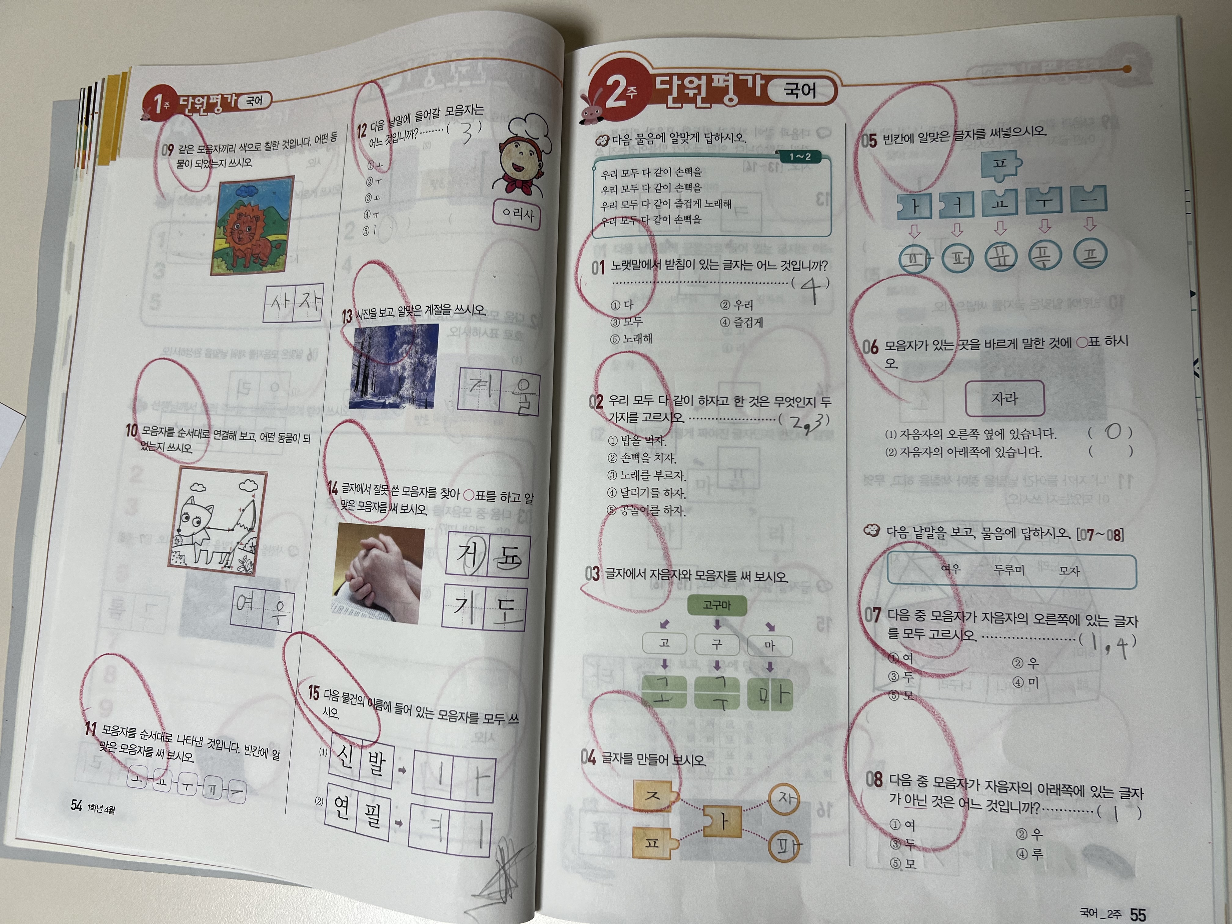 25DAA250-49AB-4060-AF2F-76B37AE8A38D.jpeg