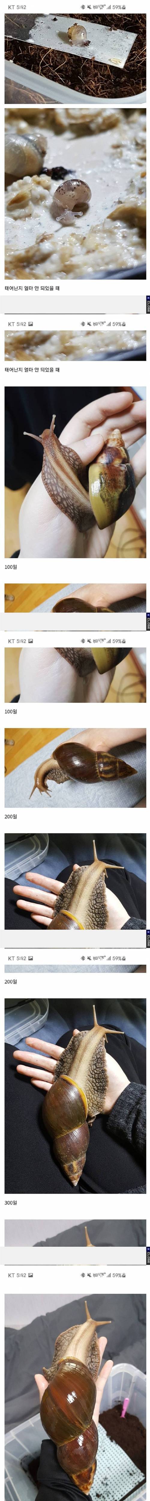달팽이_500일.jpg
