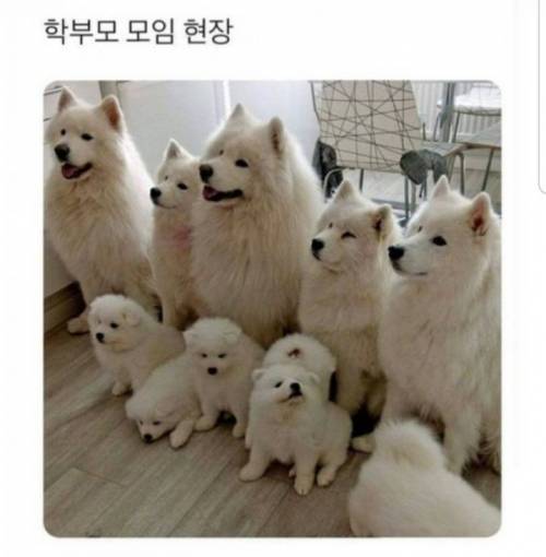 부모님_참관_수업.jpg