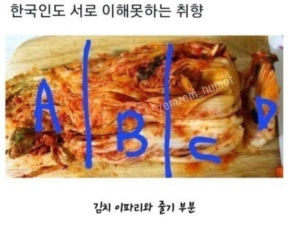 김치_부위_호불호_취향.jpg