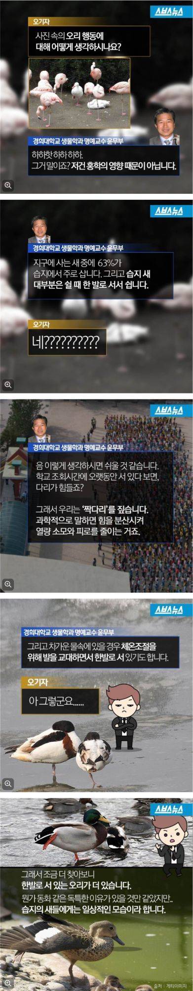 응_여기선_이렇게_하는게_규칙인가_4.jpg