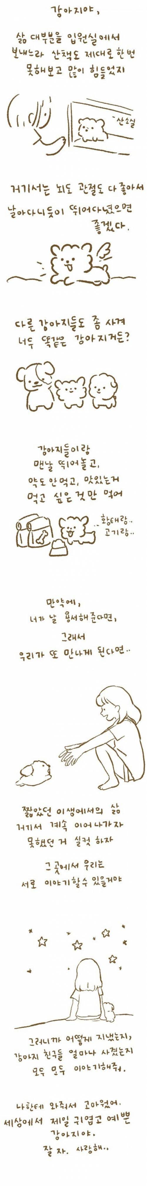 강아지를_입양하고_기르면서_귀여워해주는_만화_3.jpg
