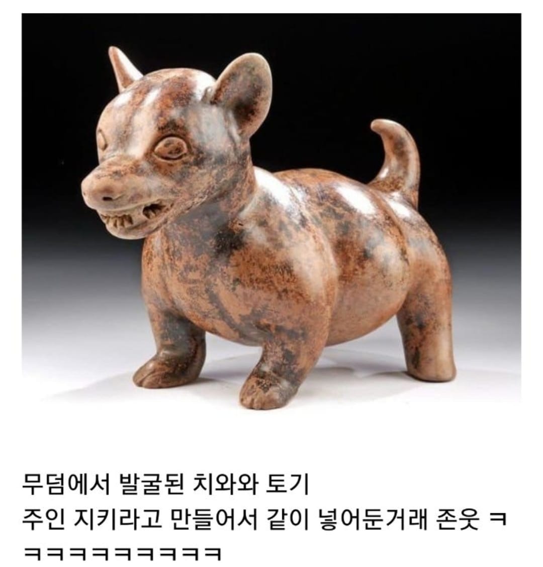 옛날부터_성질_더러운걸로_유명했던_치와와.jpg