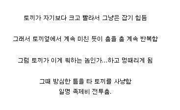 족제비.jpg 족제비.jpg