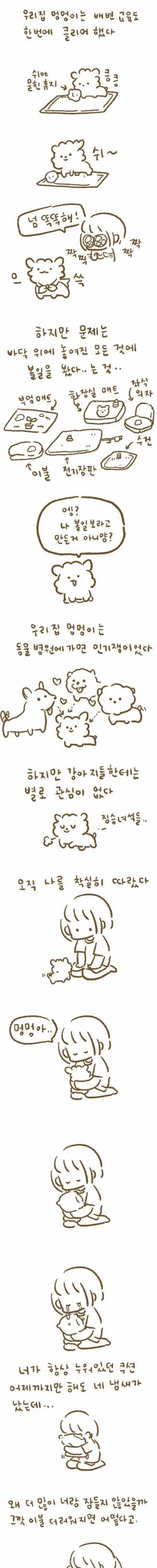 강아지를_입양하고_기르면서_귀여워해주는_만화_2.jpg