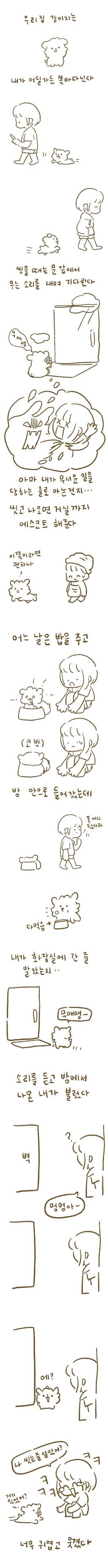 강아지를_입양하고_기르면서_귀여워해주는_만화_1.jpg